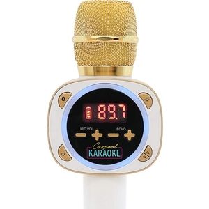 Carpool Karaoke Microphone